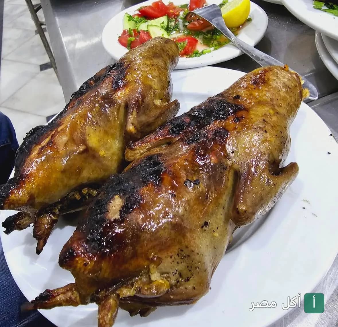 طبق حمام محشي مشوي في مطعم شلبي فور حمام بعابدين