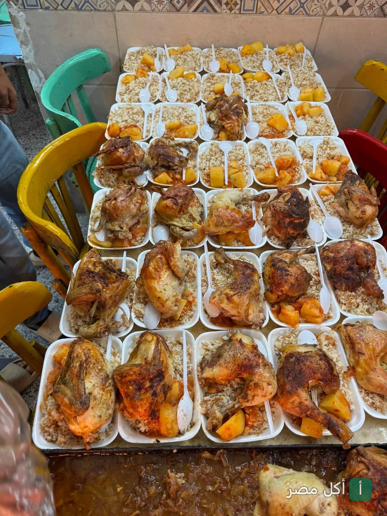وجبات دجاج مشوي مع أرز وبطاطس في أطباق جاهزة للتوزيع من مطعم عم توفيق في عابدين.