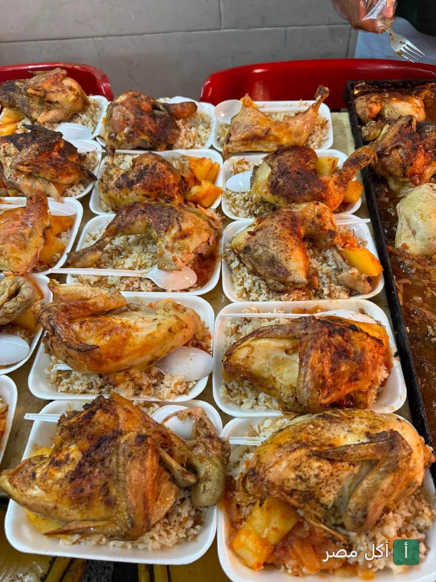 وجبات دجاج مشوي مع أرز في أطباق جاهزة من مطعم عم توفيق في عابدين