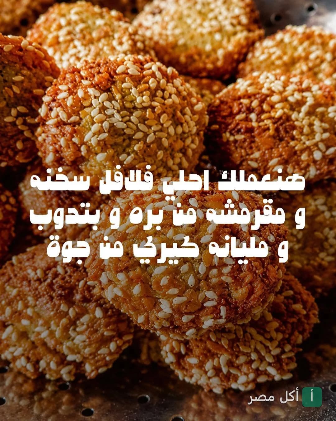 طبق طعمية مقرمشة بالسمسم من مطعم جاد في باب اللوق