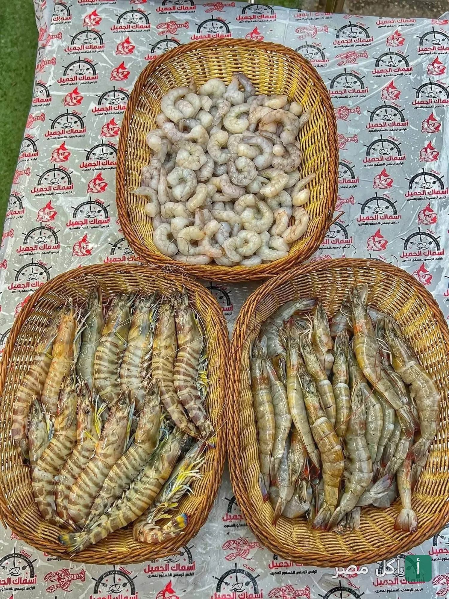 ثلاث سلال خوص تحتوي على أنواع مختلفة من الجمبري الطازج في مطعم أسماك الجميل بالخليفة.