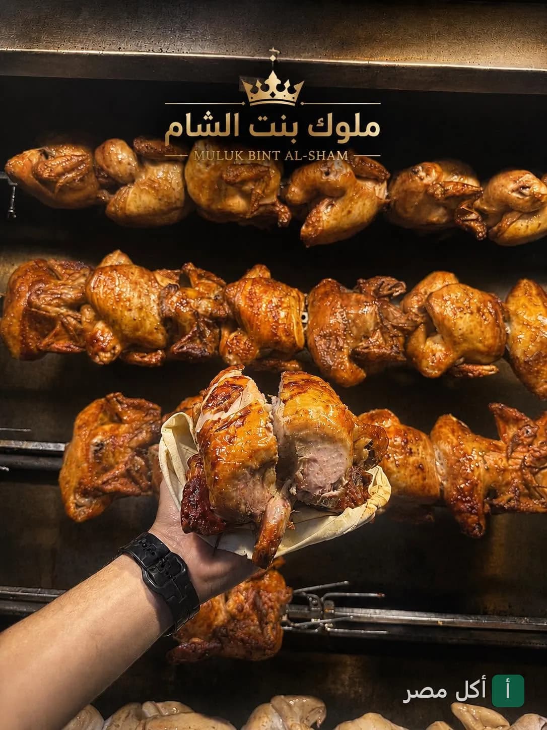 دجاج مشوي على السيخ في مطعم ملوك بنت الشام ببولاق الدكرور