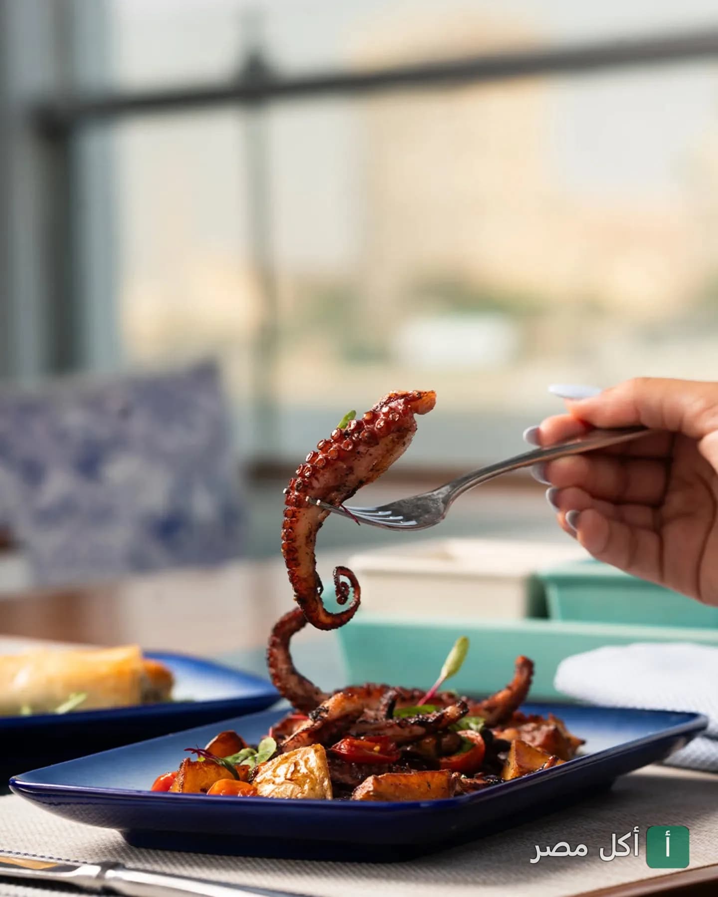 طبق مأكولات بحرية من مطعم زوي بشارع النيل، يظهر فيه يد تمسك شوكة بها قطعة أخطبوط مشوي.