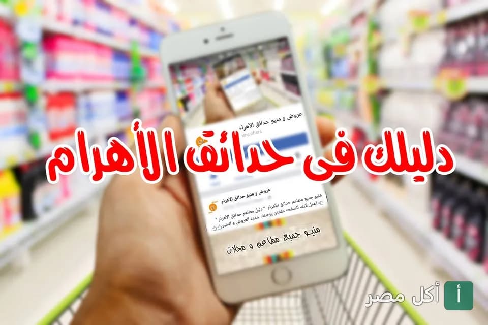 شخص يتصفح دليل مطاعم حدائق الأهرام على هاتف محمول داخل متجر.