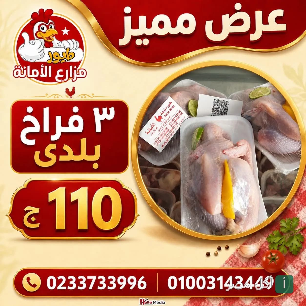 إعلان ترويجي لعرض خاص على دجاج بلدي طازج مغلف من حاتي المصري بحدائق الأهرام.