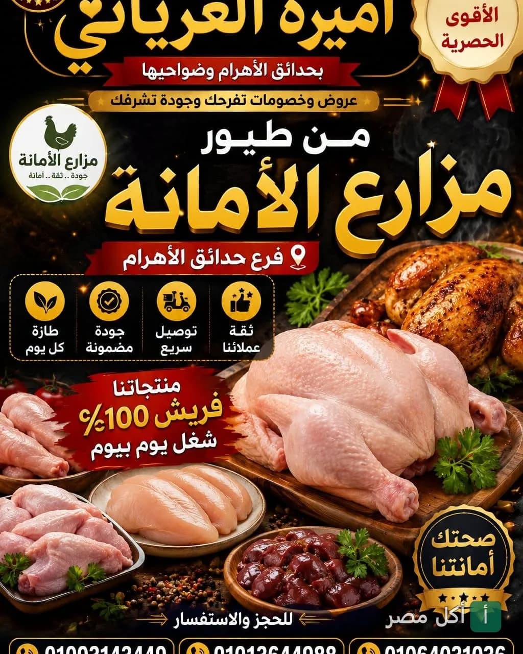 إعلان ترويجي لمطعم حاتي المصري في حدائق الأهرام يعرض دجاج طازج ومنتجات مشاوي متنوعة.