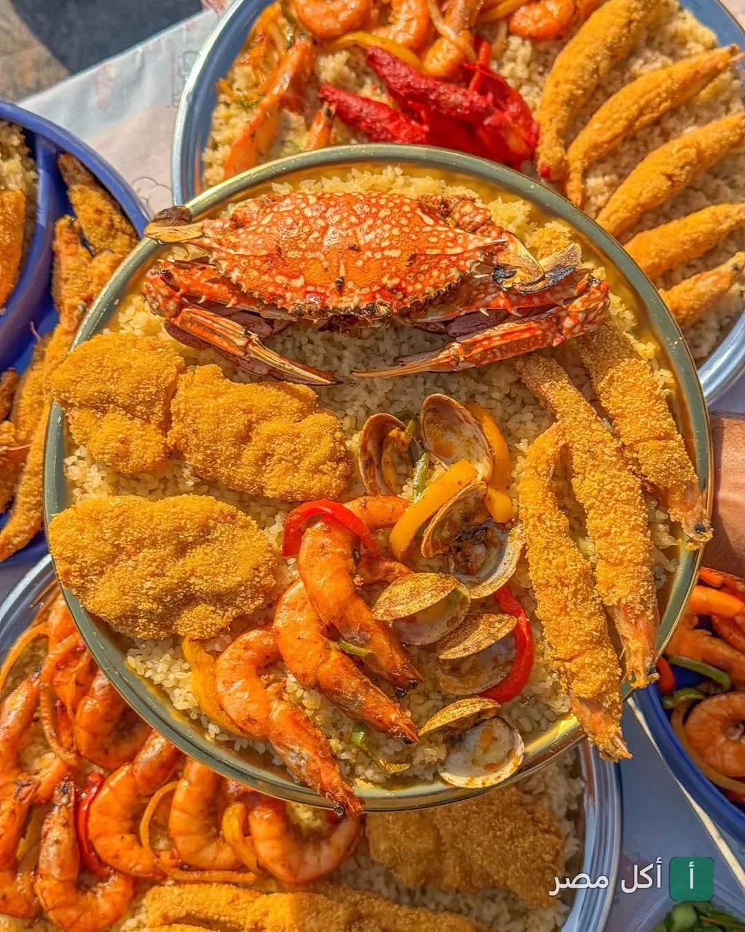 صينية مأكولات بحرية متنوعة من مطعم بلد الغريب في حدائق الأهرام، تضم كابوريا وجمبري وسمك مقلي مع أرز.