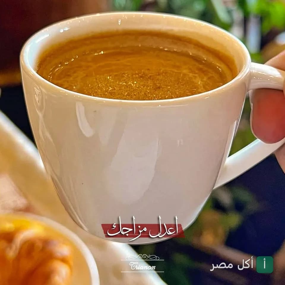 فنجان قهوة ساخن في مطعم ترانون بالجيزة.