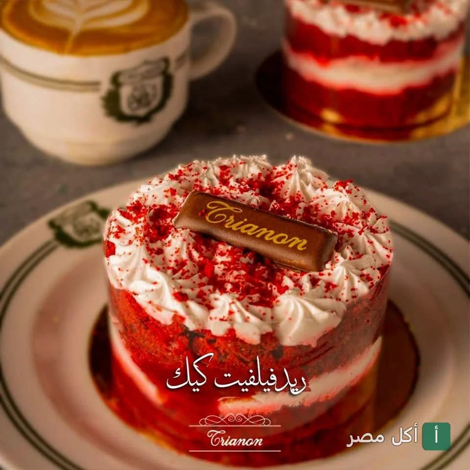 قطعة ريد فيلفيت كيك مزينة بشوكولاتة تحمل شعار ترانون في الجيزة.