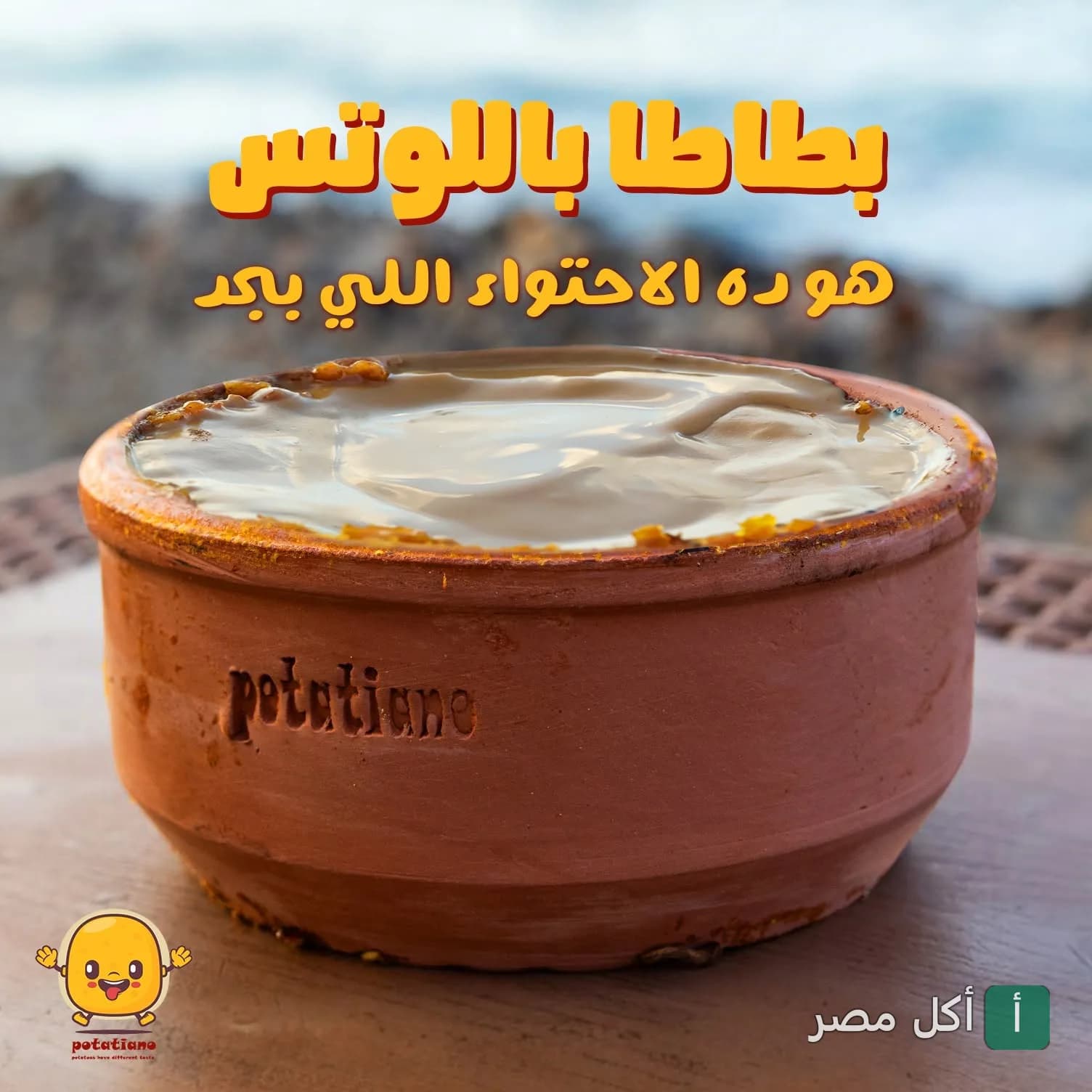 طاجن بطاطا باللوتس من مطعم بوتاتيانو في العطارين بالإسكندرية.