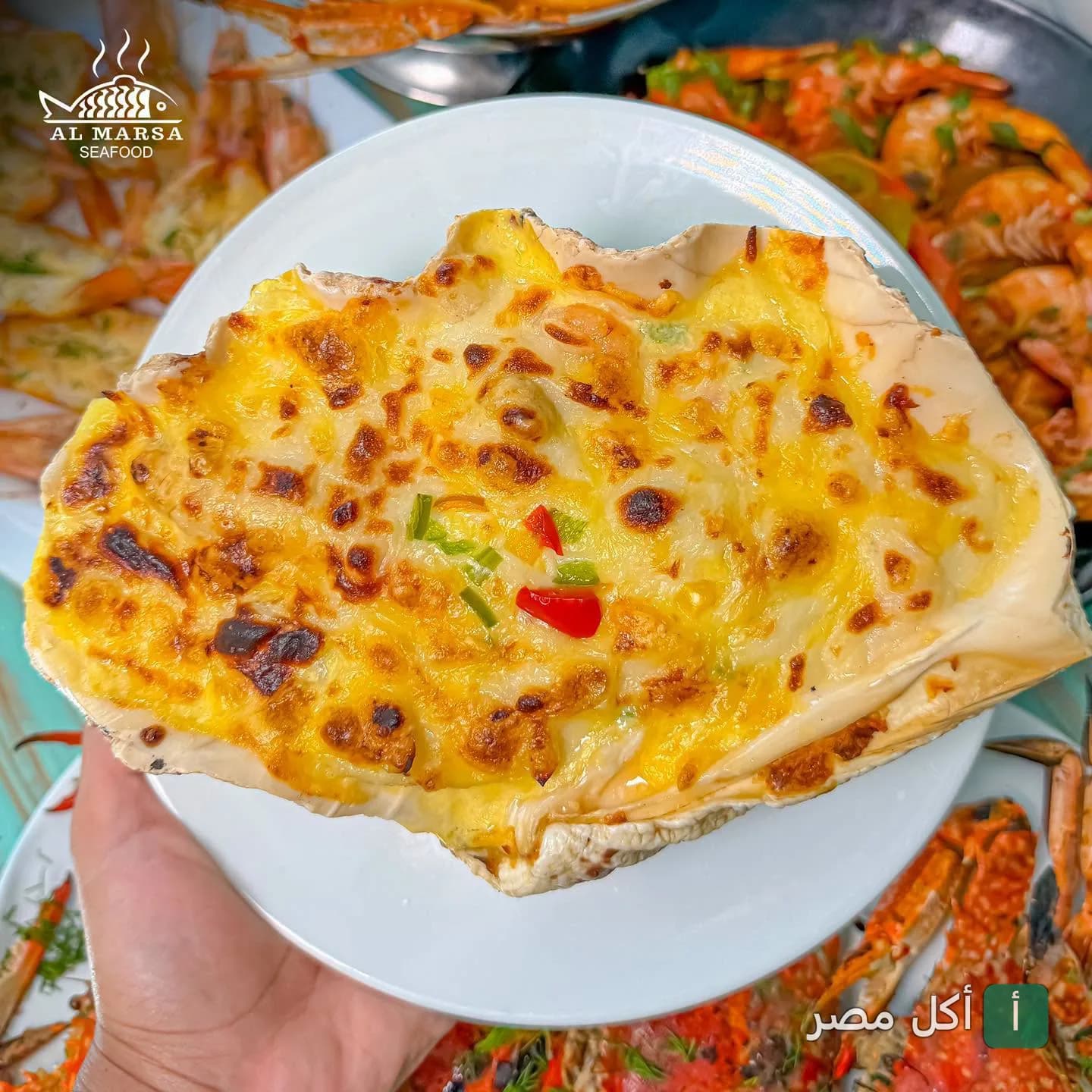 طبق كابوريا محمرة بالجبنة من مطعم المَرسىَ للمأكولات البحرية في سيدي بشر بالإسكندرية.