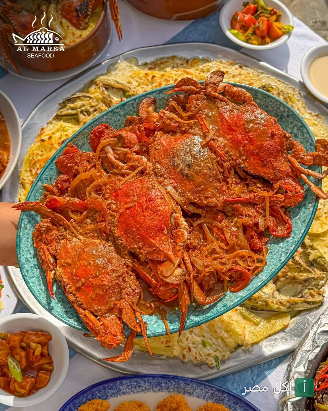 طبق كابوريا مطبوخة بصلصة حمراء في مطعم المرسى للمأكولات البحرية بسيدي بشر، الإسكندرية.
