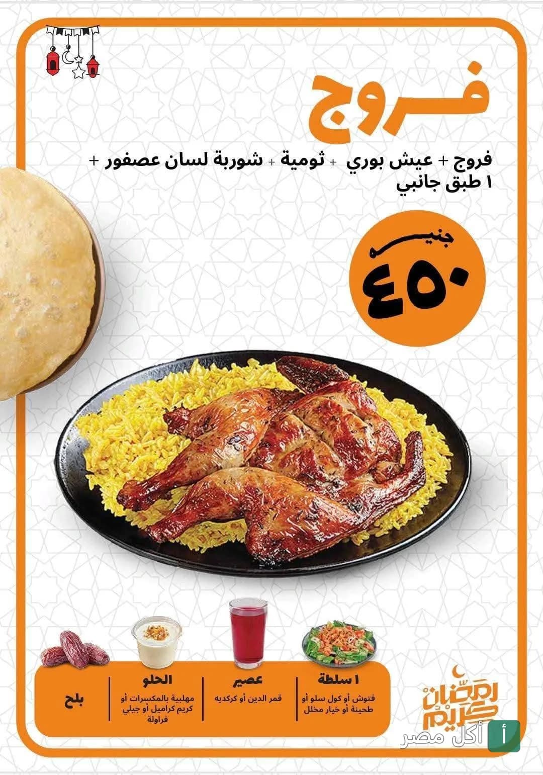 عرض وجبة فروج مشوي مع أرز وسلطة ومقبلات من مطعم دجاج تكا في الإسكندرية