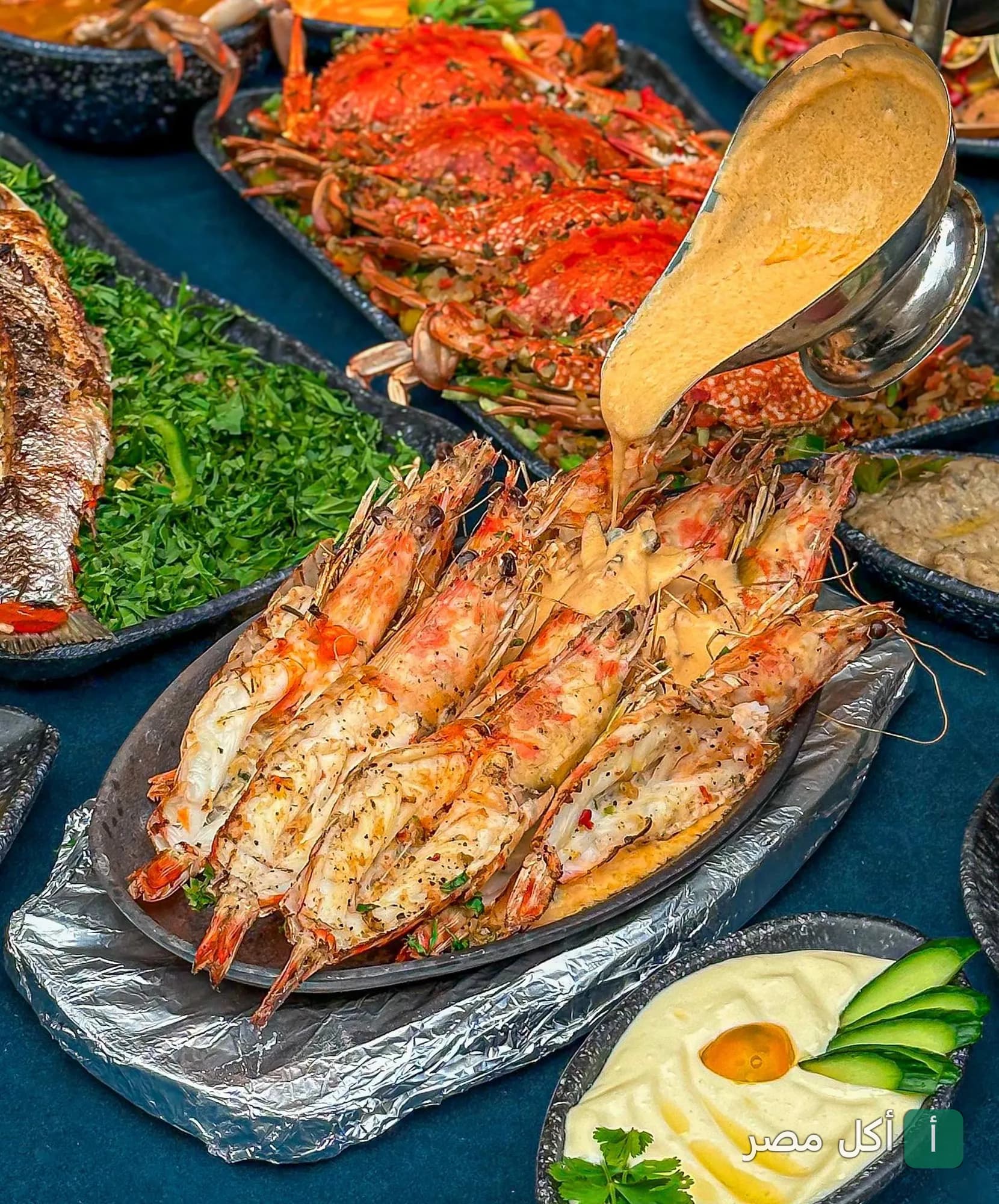 طبق جمبري مشوي يُصب عليه صوص كريمي في مطعم أسماك الكتعة بسيدي بشر، الإسكندرية.