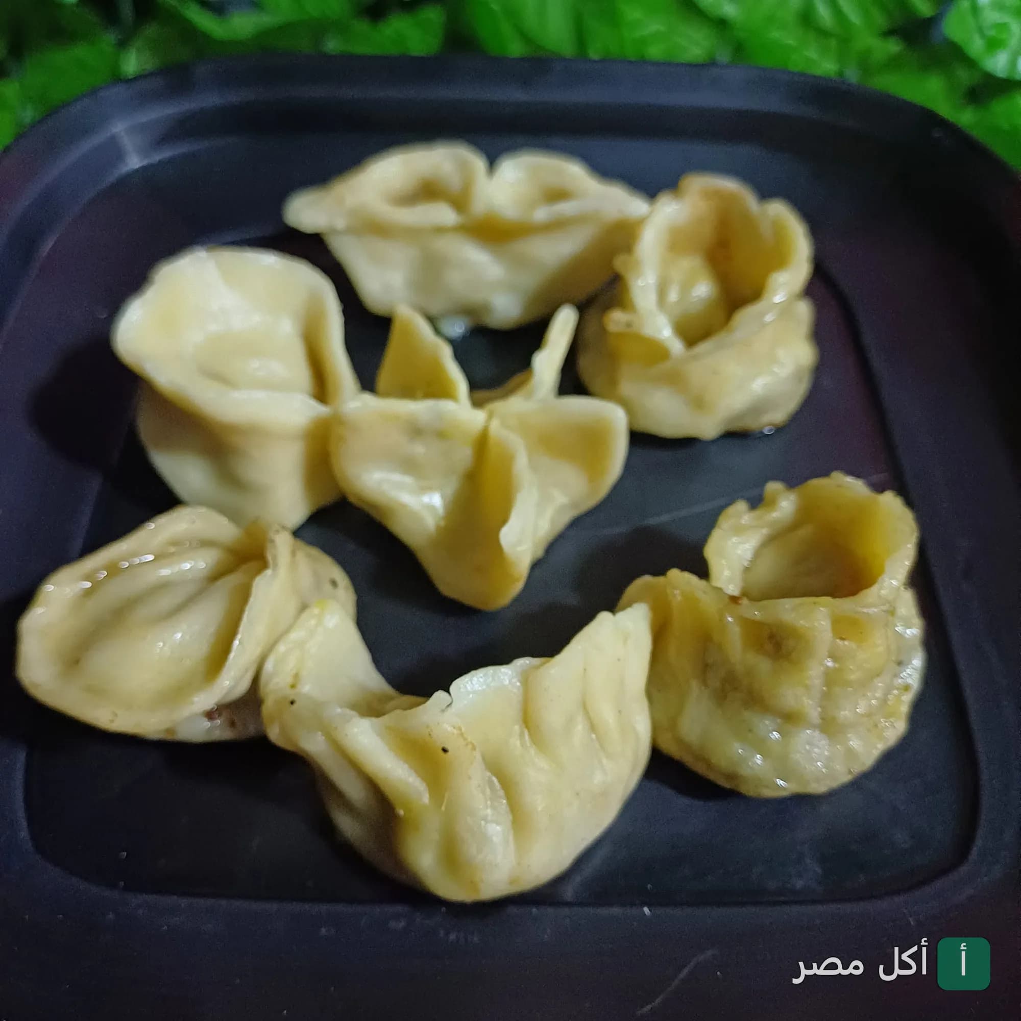 قطع زلابية مطهوة على البخار في طبق أسود بمطعم هراهيتا رامن في لوران بالإسكندرية.