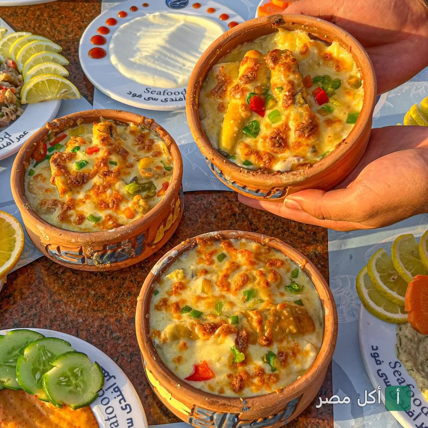 طواجن مأكولات بحرية بالجبنة في مطعم عمر أفندي بسيدي جابر في الإسكندرية