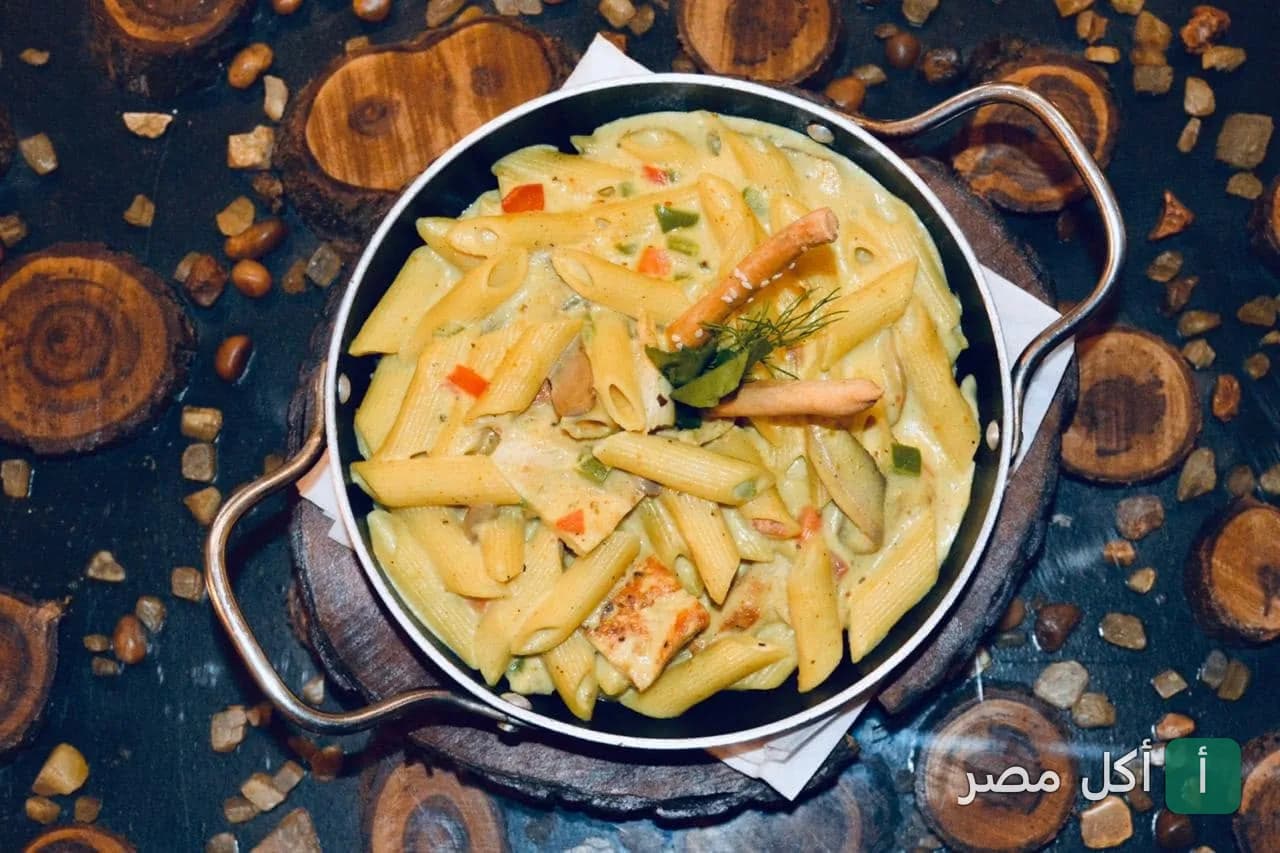 طبق مكرونة بالصوص الأبيض والخضروات في بوبس كافيه بالإسكندرية سيدي بشر