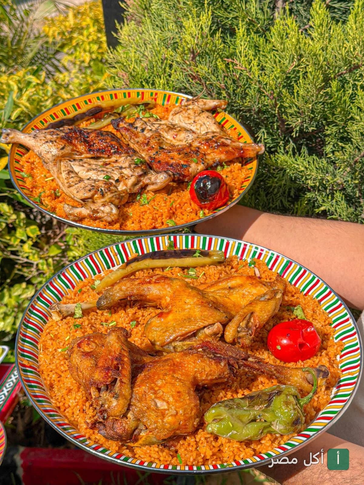 أطباق دجاج مشوي على الطريقة البدوية مع أرز مبهر في مطعم فروجة ببرج العرب.