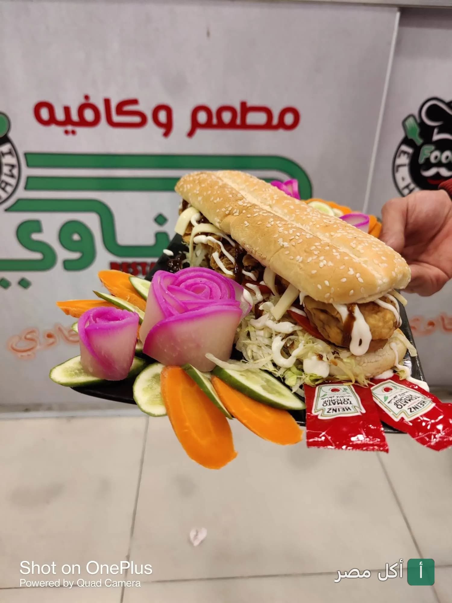 ساندوتش دجاج مقرمش مزين بوردة من البصل المخلل في مطعم الحناوي ببرج العرب