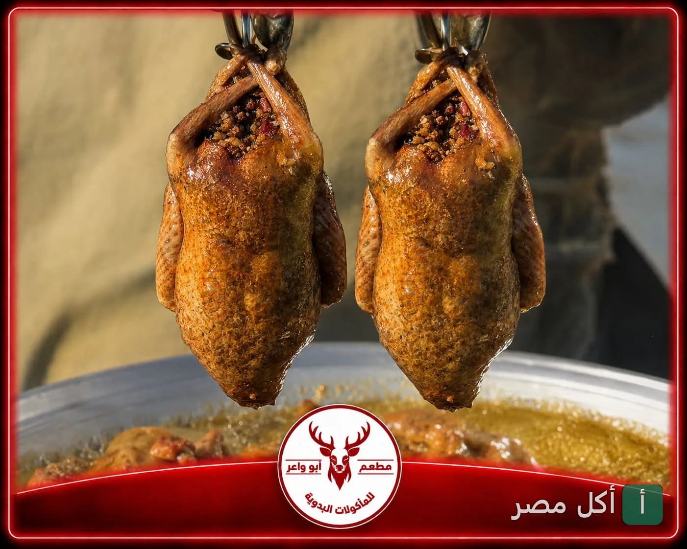 حمام محشي محمر في مطعم الشيف عطية أبو واعر للمأكولات البدوية ببرج العرب