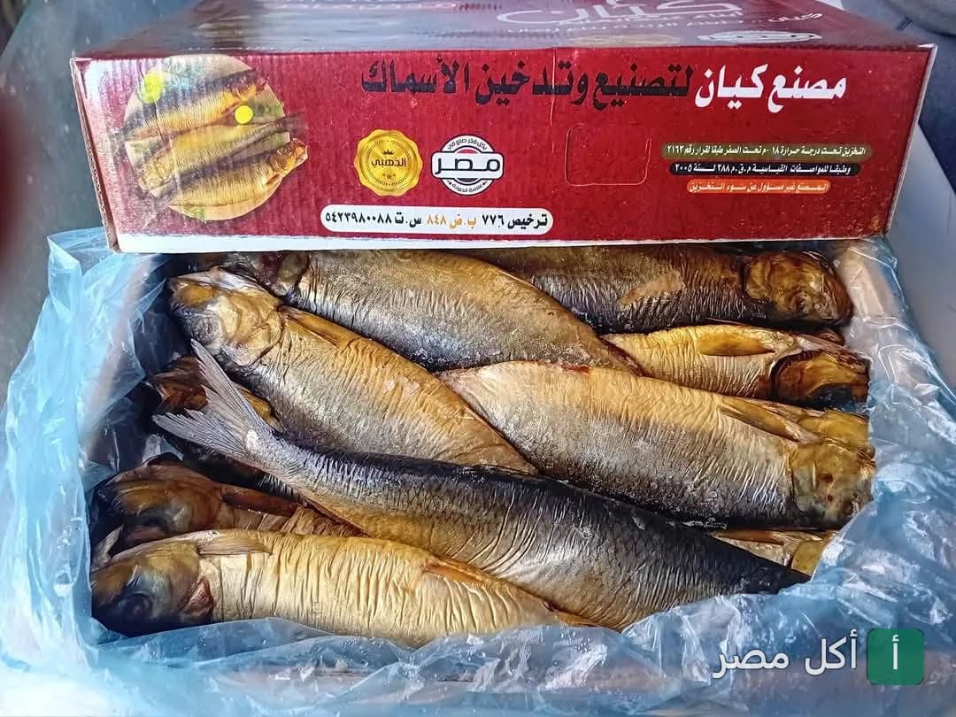 كرتونة أسماك رنجة مدخنة من إنتاج مصنع كيان في أسماك الحمد - على سلطان ببرج العرب.