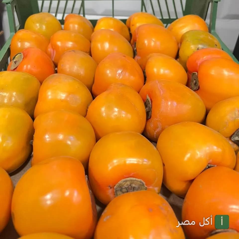 قفص مليان ثمار كاكا طازجة في محل ماسا إيجيبت للعصائر في كرموز.