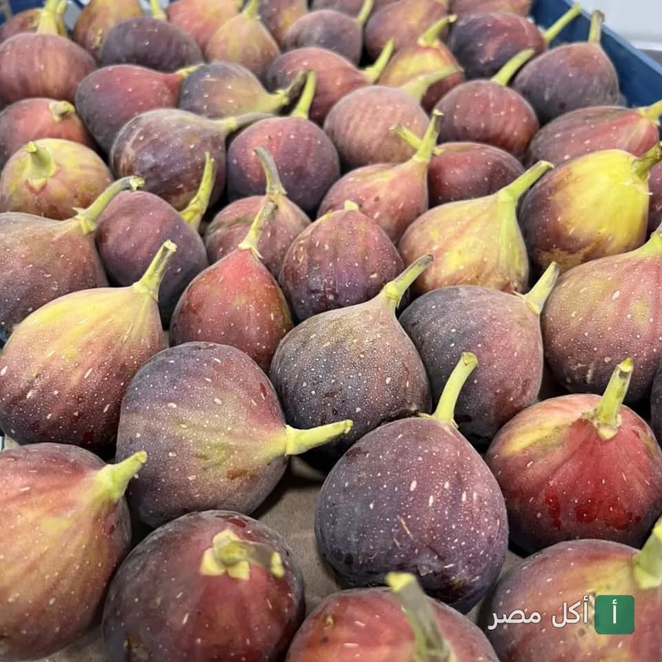 صندوق مليان تين طازج في ماسا إيجيبت للعصائر والفواكه بكرموز.