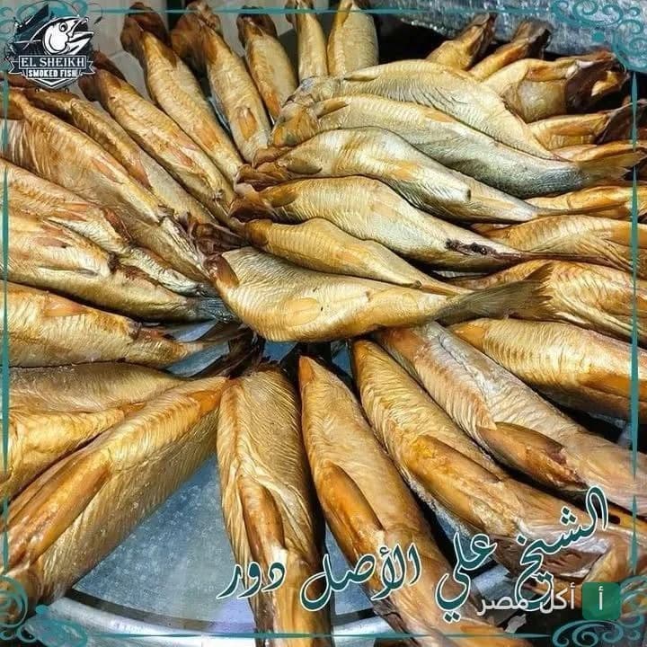 طبق كبير مليان سمك فسيخ مدخن طازج من مطعم فسيح الشيخ في مينا البصل بالإسكندرية.