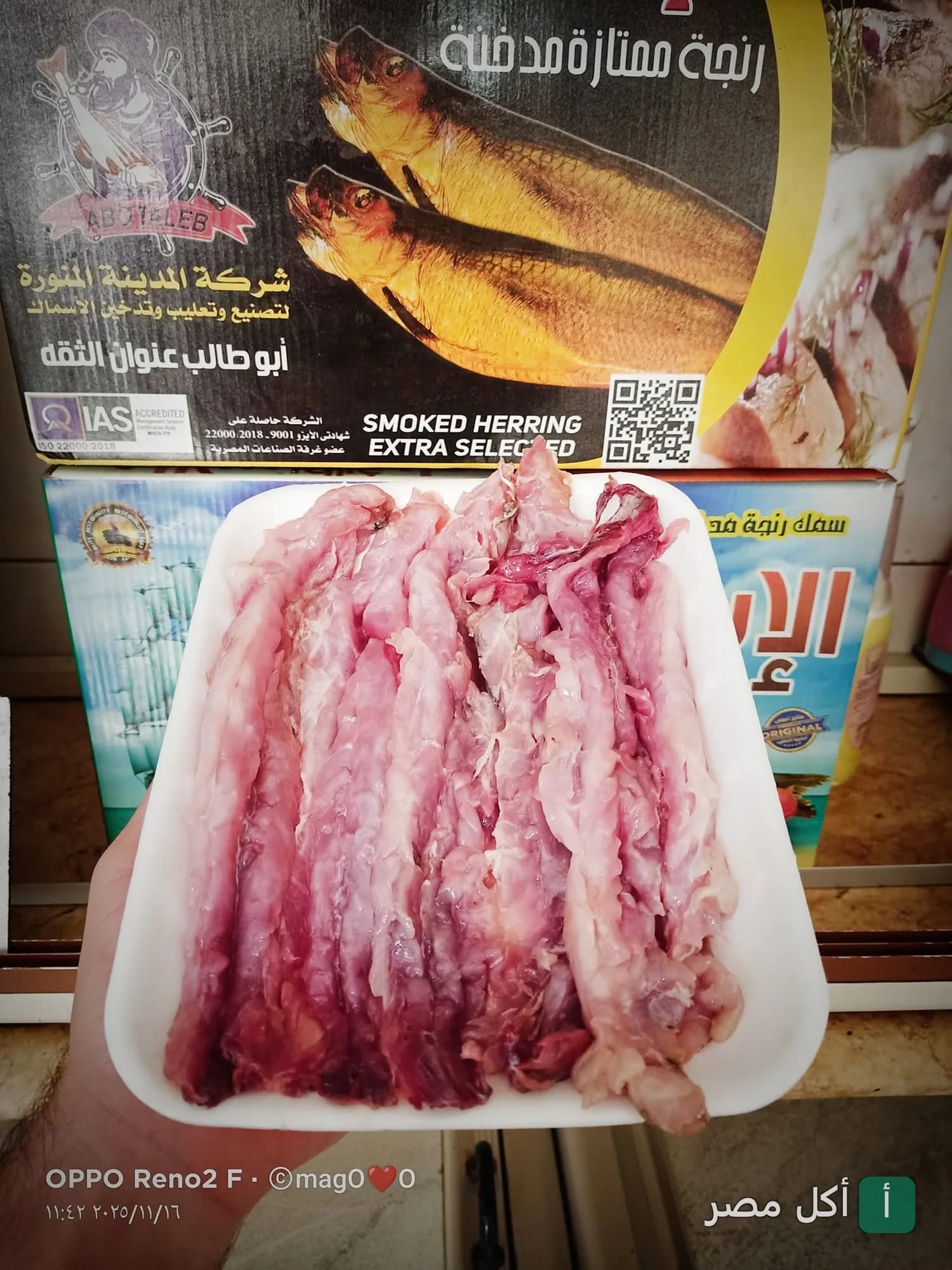 طبق رنجة فيليه طازجة في فسخاني الشعب بمينا البصل بالإسكندرية.