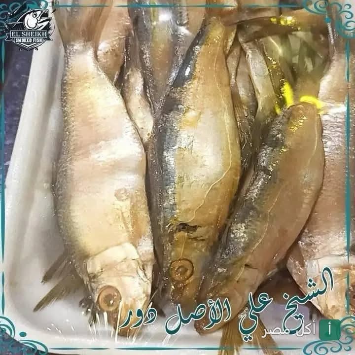 طبق سمك رنجة مدخن في مطعم الشيخ بمينا البصل.