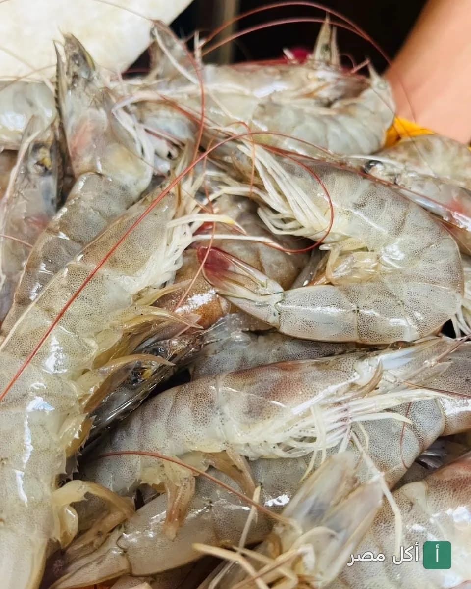 جمبري طازج ني في مطعم اسماك الاخوة بمينا البصل
