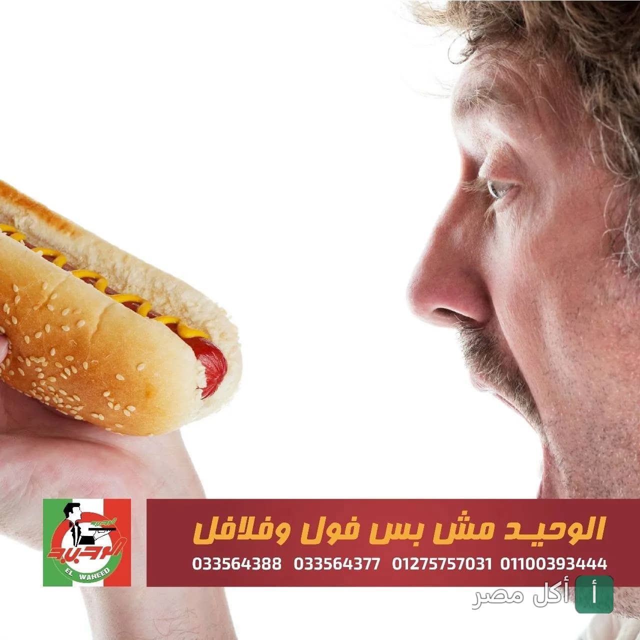 شخص يستعد لتناول ساندوتش هوت دوج في مطعم ومشويات الشرق الوحيد بمينا البصل.