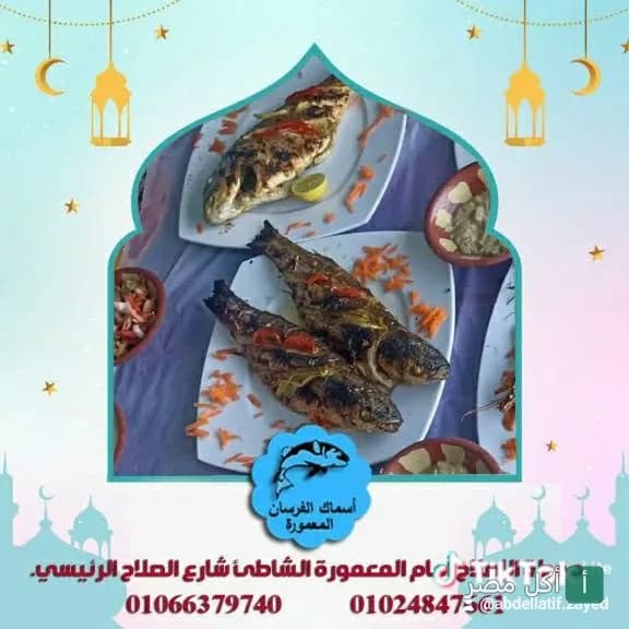 أطباق سمك مشوي متنوعة مقدمة في مطعم الفرسان بمنطقة مينا البصل.